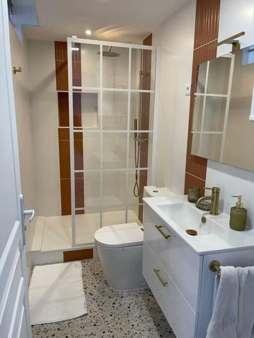 Nid Douillet Proche Capitole Apartment Toulouse Exterior photo