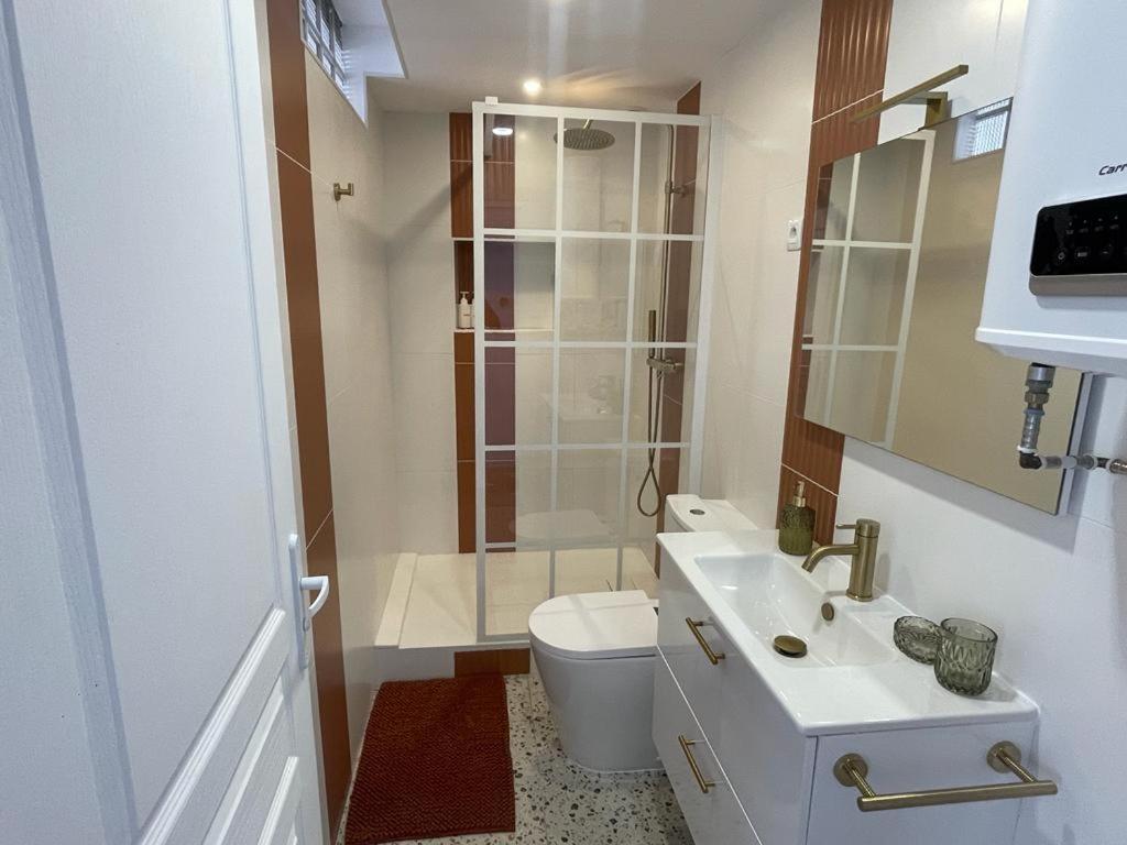 Nid Douillet Proche Capitole Apartment Toulouse Exterior photo